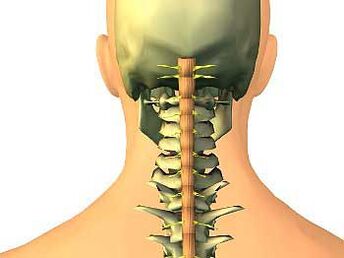 Cervical eskualdeko osteokondrosia